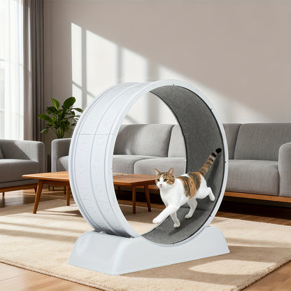 Cat Exercise Wheel, Plastic Wheel with Carpeted Runway, Easy to Install & Fitness & Health, Suitable for Most Cats, 79 Cm, for Indoor Cats