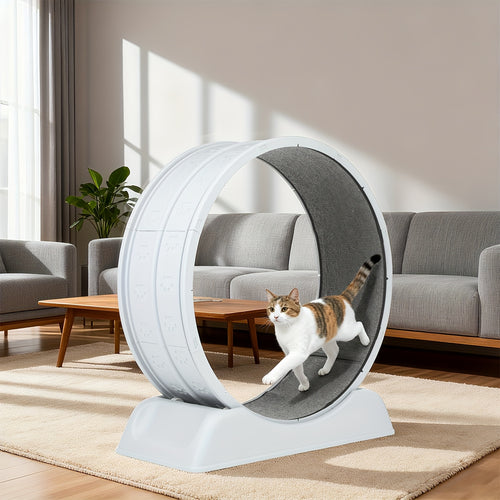 Cat Exercise Wheel, Plastic Wheel with Carpeted Runway, Easy to Install & Fitness & Health, Suitable for Most Cats, 79 Cm, for Indoor Cats
