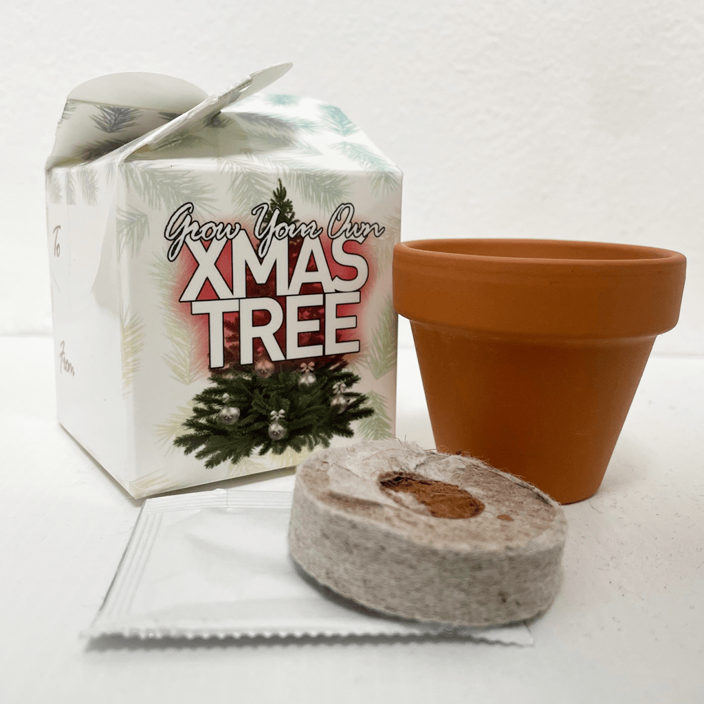 Grow Your Own Christmas Tree Mini Box Kits Teacher Thank You Kids Birthdays Parties Corporate Events Wedding Favours Christenings Xmas Holidays Gift Box Funerals