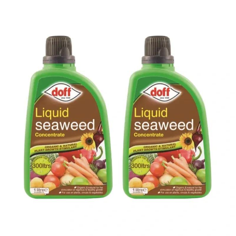 2 X Doff Liquid Seaweed Concentrate 1L For Use on Garden Plants Shrubs & Vegetables, Supports Growth, Makes Up to 300L