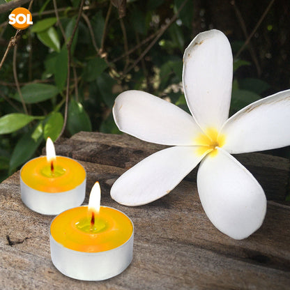 75 Pack Scented Tea Light Candles | Assorted Tealights with 5 Fragrances (Vanilla, Fresh Berries, Peach, Mountain Spring, Lavender) | 4 Hour Burn | Decorative Home & Gift Candle Set
