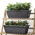 window box planter set – colour option 16