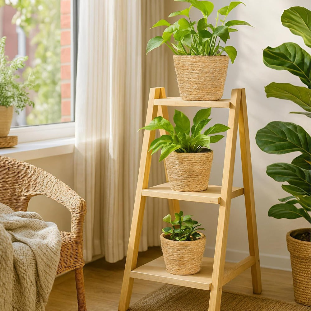Seagrass Planter Baskets Set of 3 Round Woven Plant Pots with Plastic Liner for Indoor Plants Home Decor Living Room Bedroom