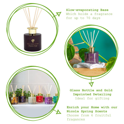 Nicola Spring Coconut & Lime Scented Candle - 130g - Natural Soy Wax 21 Hour Burning Time Small Candles Relaxing Fragrance Gift Set Aromatherapy Bath Candle