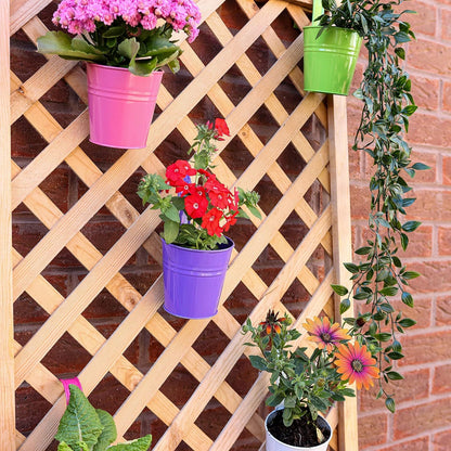 Hanging Plant Pots Large Metal Flower Pot Vase Bucket Fence Hanging Garden Planter With Drainage Hole For Balcony Home Decor (10pcs with Assorted 10 Colours)