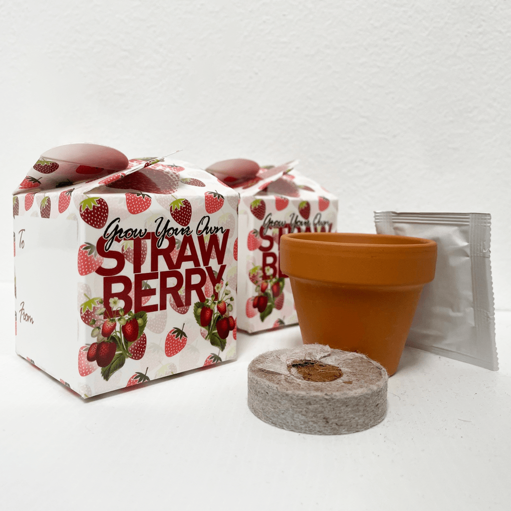 Grow Your Own Strawberry Mini Box Kits Teacher Thank You Kids Birthdays Parties Corporate Events Wedding Favours Christenings Strawberries Holidays Gift Box Funerals