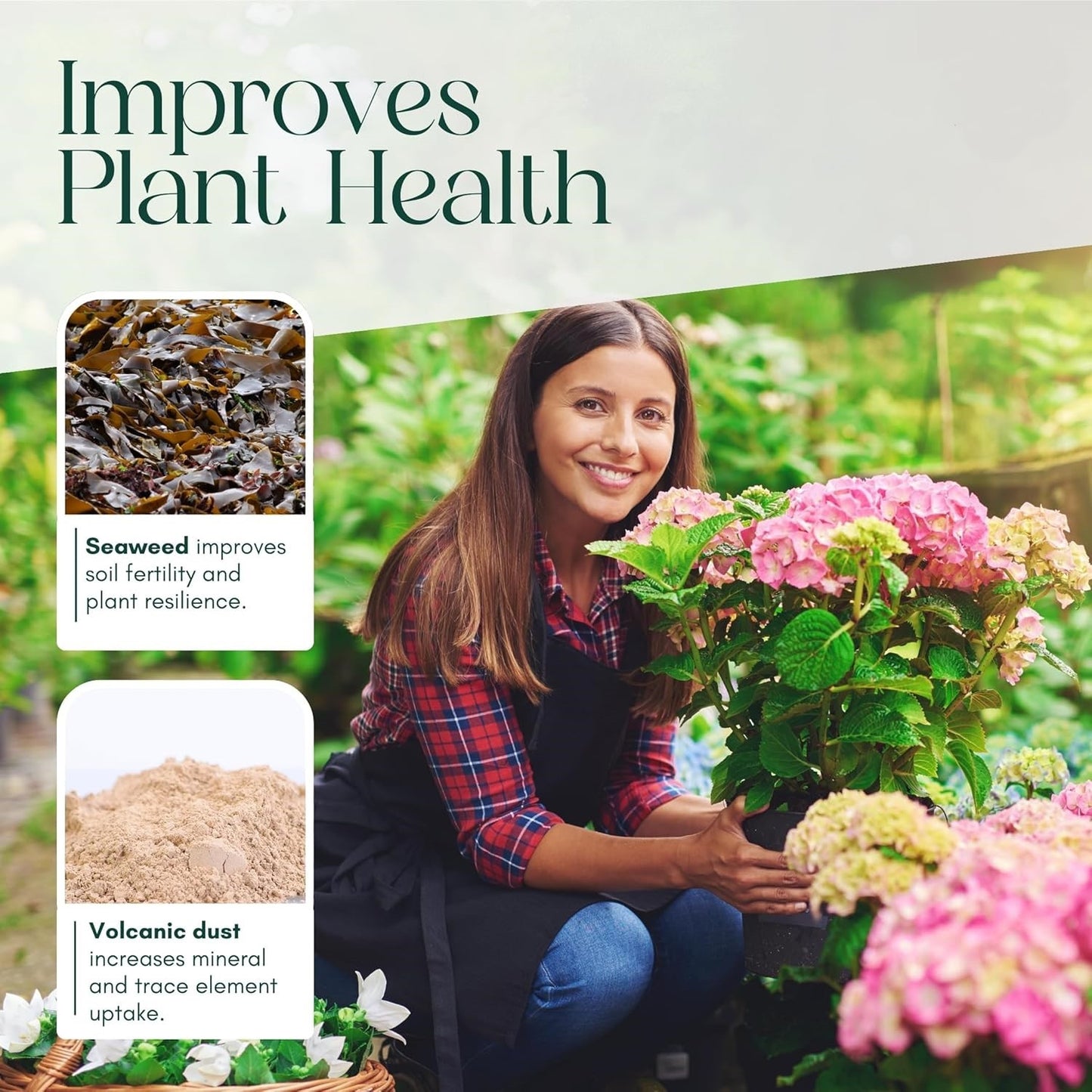 40/50L Peat Free Multi-Purpose Compost Mix for Outdoor Plants, Potting & Seed Starting