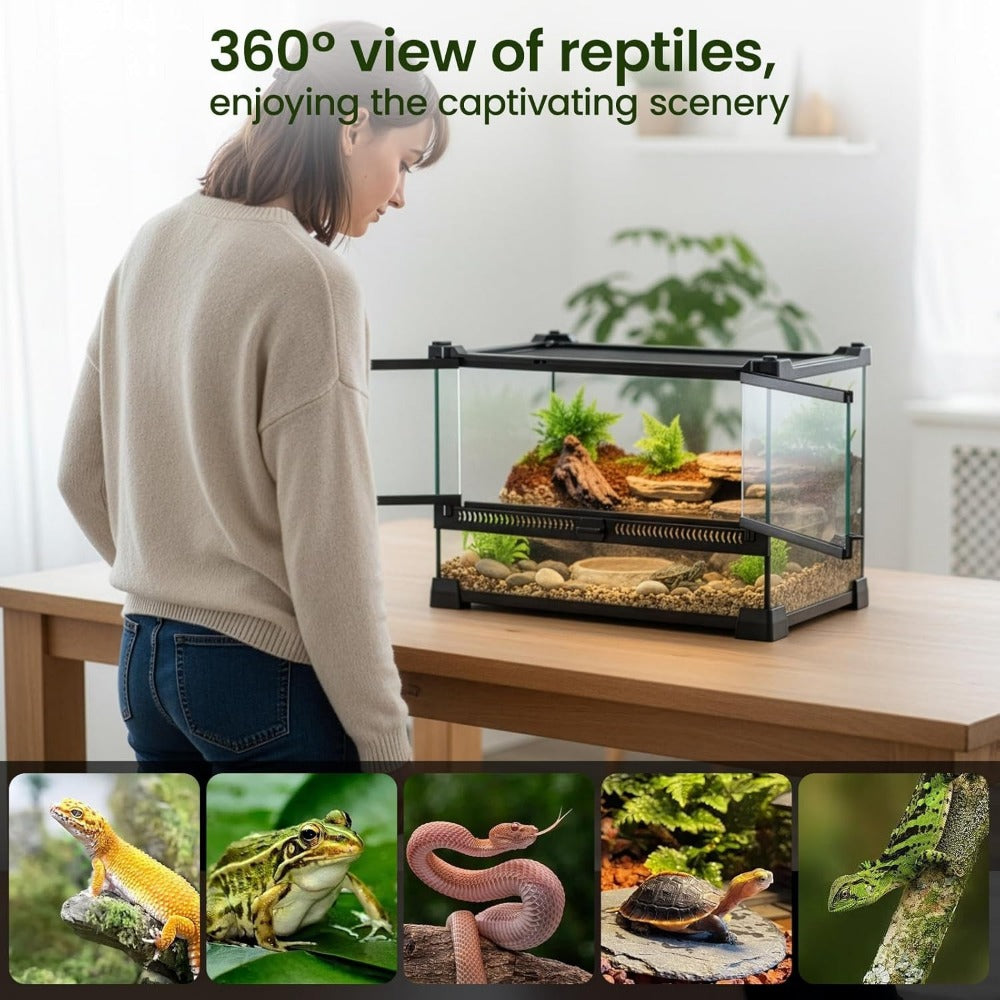 Glass Reptile Terrarium Vivarium Tank – Ventilated Habitat for Lizards, Frogs, Snakes & Spiders, Horizontal & Vertical, Leakproof Base