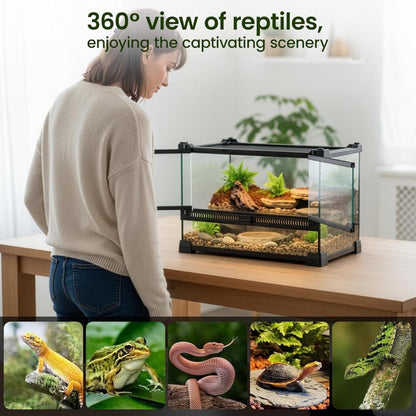 Glass Reptile Terrarium Vivarium Tank – Ventilated Habitat for Lizards, Frogs, Snakes & Spiders, Horizontal & Vertical, Leakproof Base