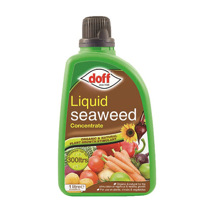 2 X Doff Liquid Seaweed Concentrate 1L For Use on Garden Plants Shrubs & Vegetables, Supports Growth, Makes Up to 300L
