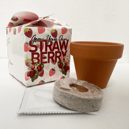 Grow Your Own Strawberry Mini Box Kits Teacher Thank You Kids Birthdays Parties Corporate Events Wedding Favours Christenings Strawberries Holidays Gift Box Funerals