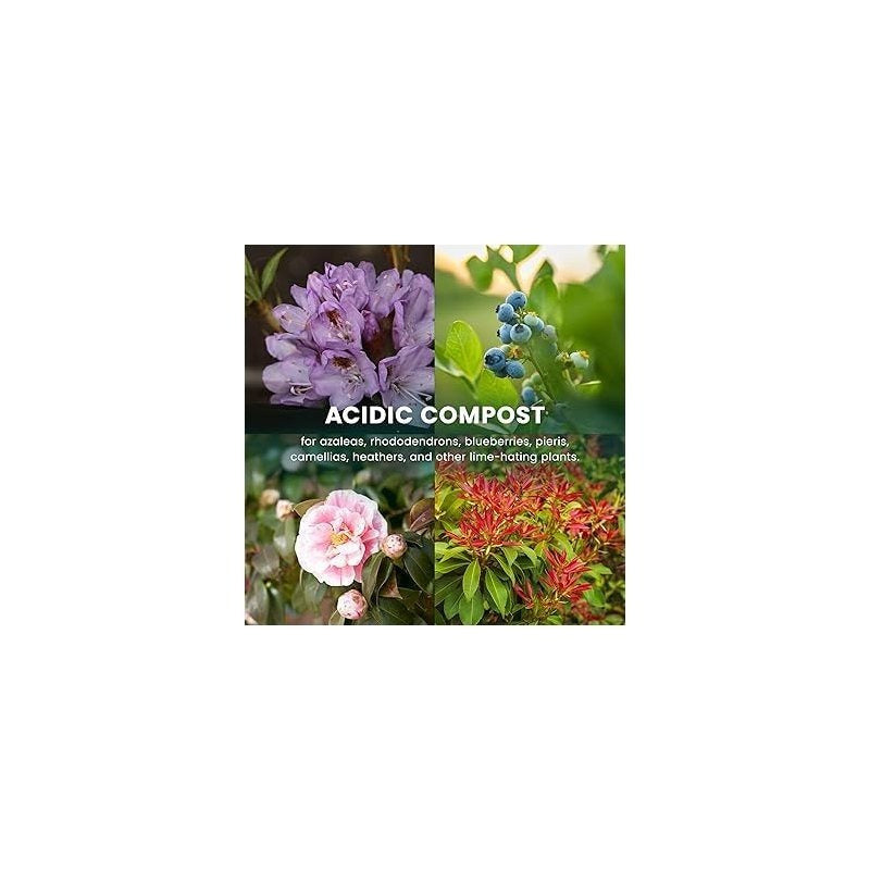 Growmoor Ericaceous Compost 50L Premium Soil Mix For Azalea Camellia Rhododendron And Heather Plants