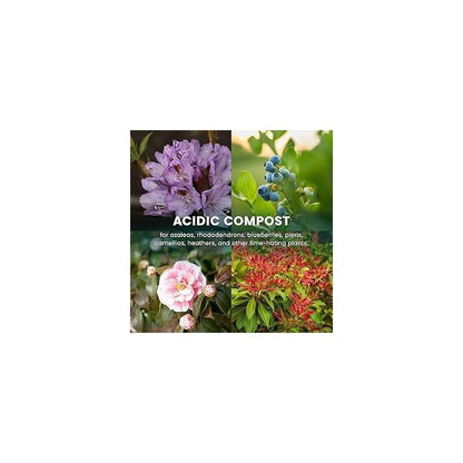 Growmoor Ericaceous Compost 50L Premium Soil Mix For Azalea Camellia Rhododendron And Heather Plants