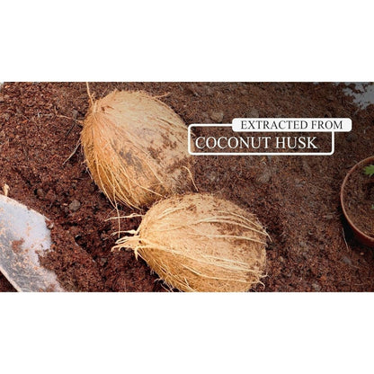 Coconut Coir Coco Block 5kg Expands to 70L – Compressed Coconut Fibre Compost for Plants, Reptiles & Growing Media, pH Stable, High Moisture Retention