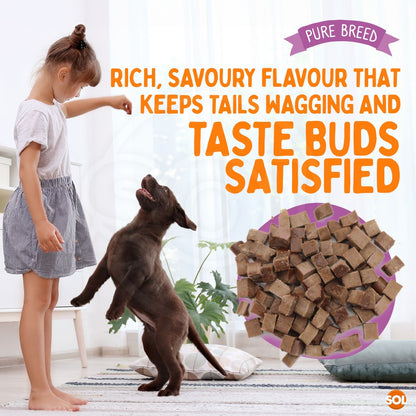 Dog Training Treats Chicken Flavour 6 Pack 600g – Bite Size Low Calorie Reward Snacks for All Breeds, Resealable Packs | Pure Breed Training Treat Bites