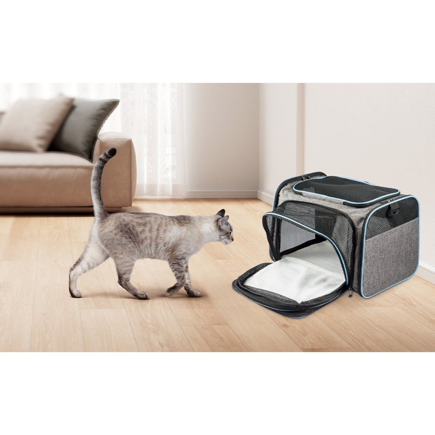 Expandable Soft Cat Carrier Bag – Airline Approved Pet Travel Bag with Mesh Windows, Shoulder Strap & Foldable Design for Cats and Small Dogs – Portable Pet Carrier for Airplane, Car, Vet & Home Use (Grey)