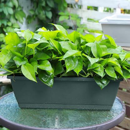 5pcs Balcony Vegetable Basin, Long Strip Horon Basin, Outdoor Creative Plastic Vegetable Planting Box, Available in White, Gray, Dark Green And Brick Red. Available Sizes: L42.5*W17*H14Cm/L49.5*W19*H*14Cm