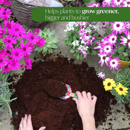 10L All/ Multi-Purpose Compost Soil – Compost Mix for Potting, Growing Garden, Outdoor, Indoor Seed Plants