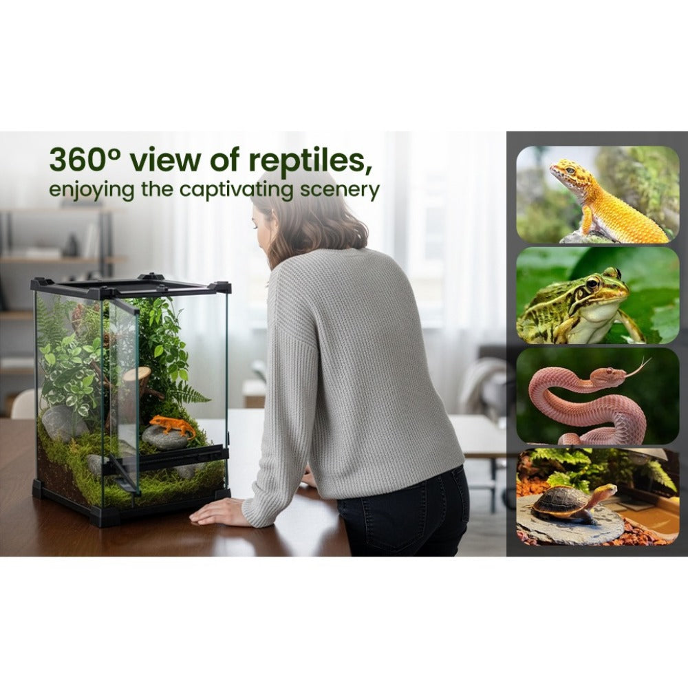Glass Reptile Terrarium Vivarium Tank – Ventilated Habitat for Lizards, Frogs, Snakes & Spiders, Horizontal & Vertical, Leakproof Base