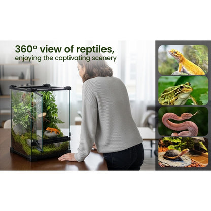 Glass Reptile Terrarium Vivarium Tank – Ventilated Habitat for Lizards, Frogs, Snakes & Spiders, Horizontal & Vertical, Leakproof Base