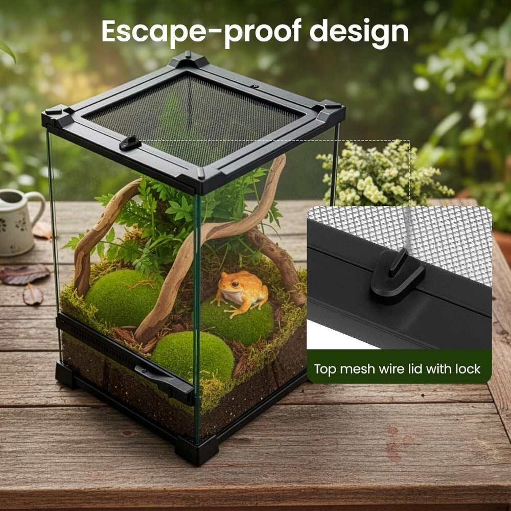 Glass Reptile Terrarium Vivarium Tank – Ventilated Habitat for Lizards, Frogs, Snakes & Spiders, Horizontal & Vertical, Leakproof Base