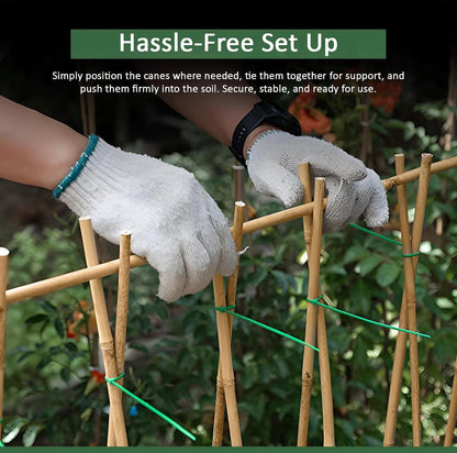 Thick Bamboo Canes 5FT 14-16mm Heavy Duty Garden Stakes 10pcs Natural Bamboo Plant Support Sticks Strong Wooden Plant Stakes for Climbing Plants, Tomatoes, Beans, Flowers & Vegetables, Durable Bamboo Poles for Garden, Balcony, Patio & Outdoor Use, Plant S