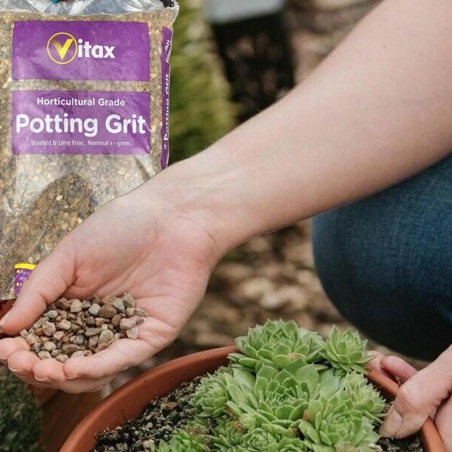 Vitax Horticultural Potting Grit Small 4Kg – Fine Grit for Potting & Planting | Drainage Grit for Pots, Containers & Garden Use