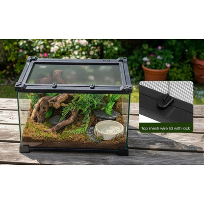 Glass Reptile Terrarium Vivarium Tank – Ventilated Habitat for Lizards, Frogs, Snakes & Spiders, Horizontal & Vertical, Leakproof Base