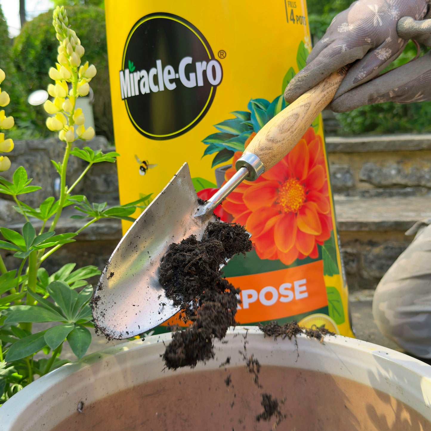 2x Miracle-Gro All Purpose Compost 40L Large Volume Multi-Use Plant Growing Medium for Flowers, Vegetables, Shrubs, Houseplants, Pots & Garden Beds