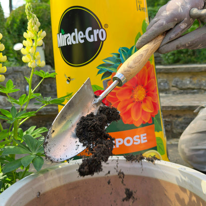2x Miracle-Gro All Purpose Compost 40L Large Volume Multi-Use Plant Growing Medium for Flowers, Vegetables, Shrubs, Houseplants, Pots & Garden Beds