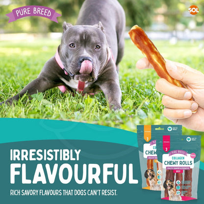 Collagen Chewy Rolls for Dogs 12 Pack – Long Lasting Dog Chews 12cm, Beef & Chicken Flavour, Natural Protein Training Treats for Puppies & Adults, Resealable Pack, Oral Care Boredom Buster