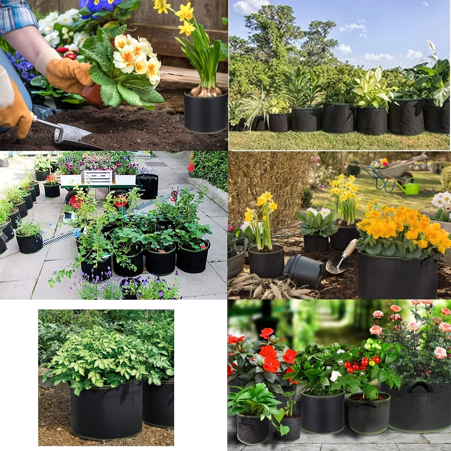 5Pack/10Pack Heavy Duty Grow Bags - Thickened Nonwoven Fabric Raised Garden Plant Pots with Aeration Holes And Sturdy Green Border, Collapsible/Outdoor Self-Watering Bags for Vegetables, Herbs, Flowers, 11.36/18.93/26.5L