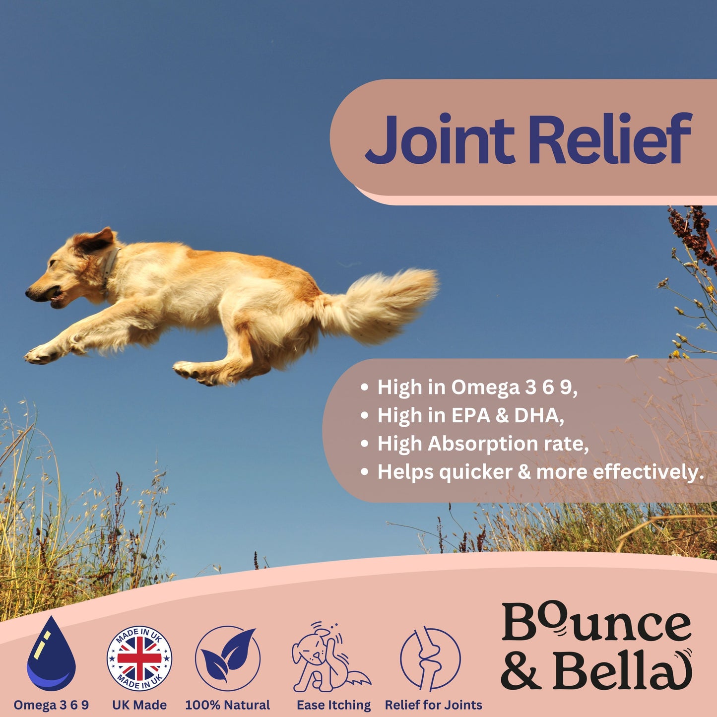 Scottish Salmon Oil for Dogs & Cats UK - Purity-Filtered Omega 3-6-9 Fish Oil Supplement, 500ml, Bounce and Bella