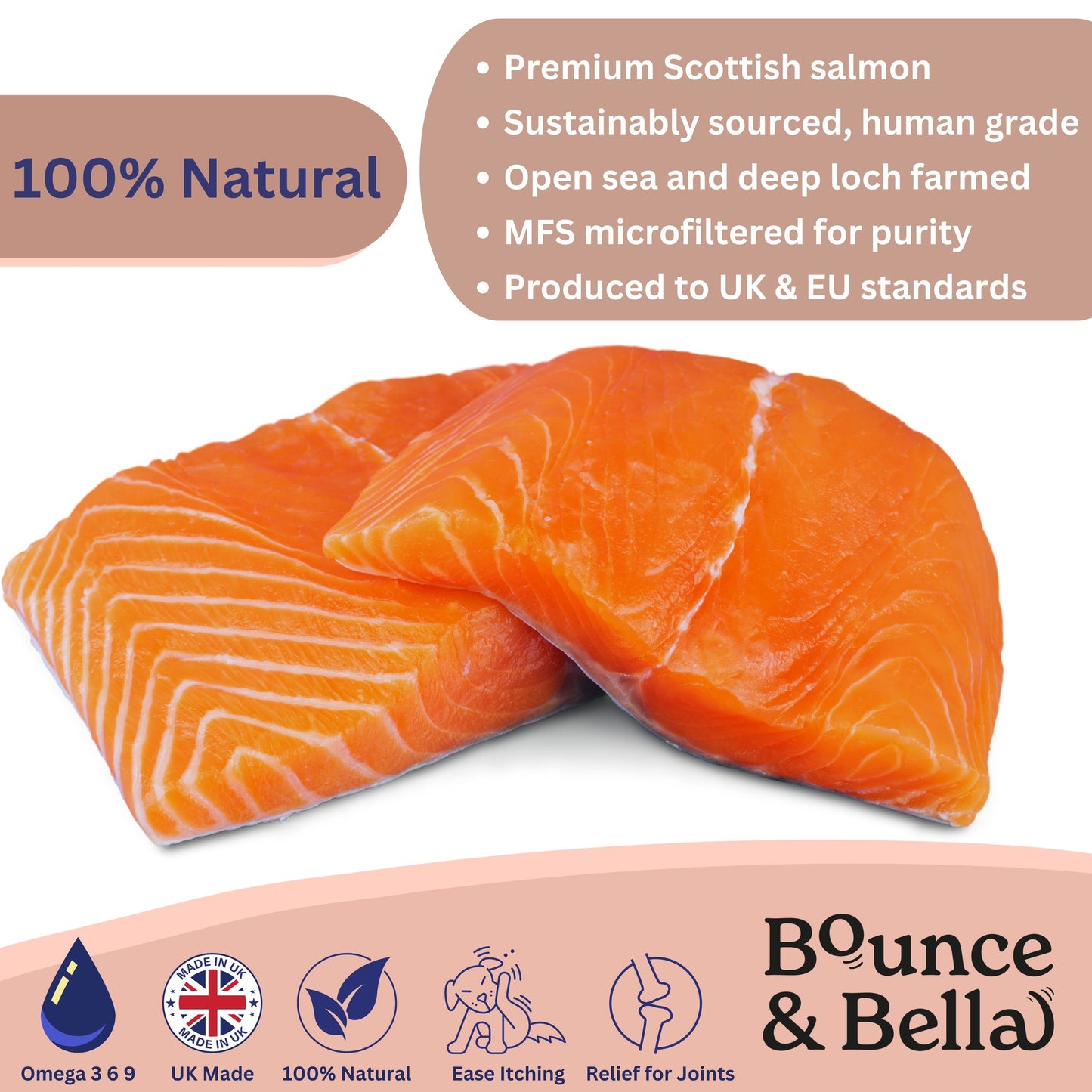 Scottish Salmon Oil for Dogs & Cats UK - Purity-Filtered Omega 3-6-9 Fish Oil Supplement, 500ml, Bounce and Bella