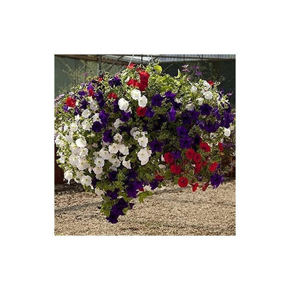 12 Inch Indoor Outdoor Balcony Patio Hanging Basket Set of 4