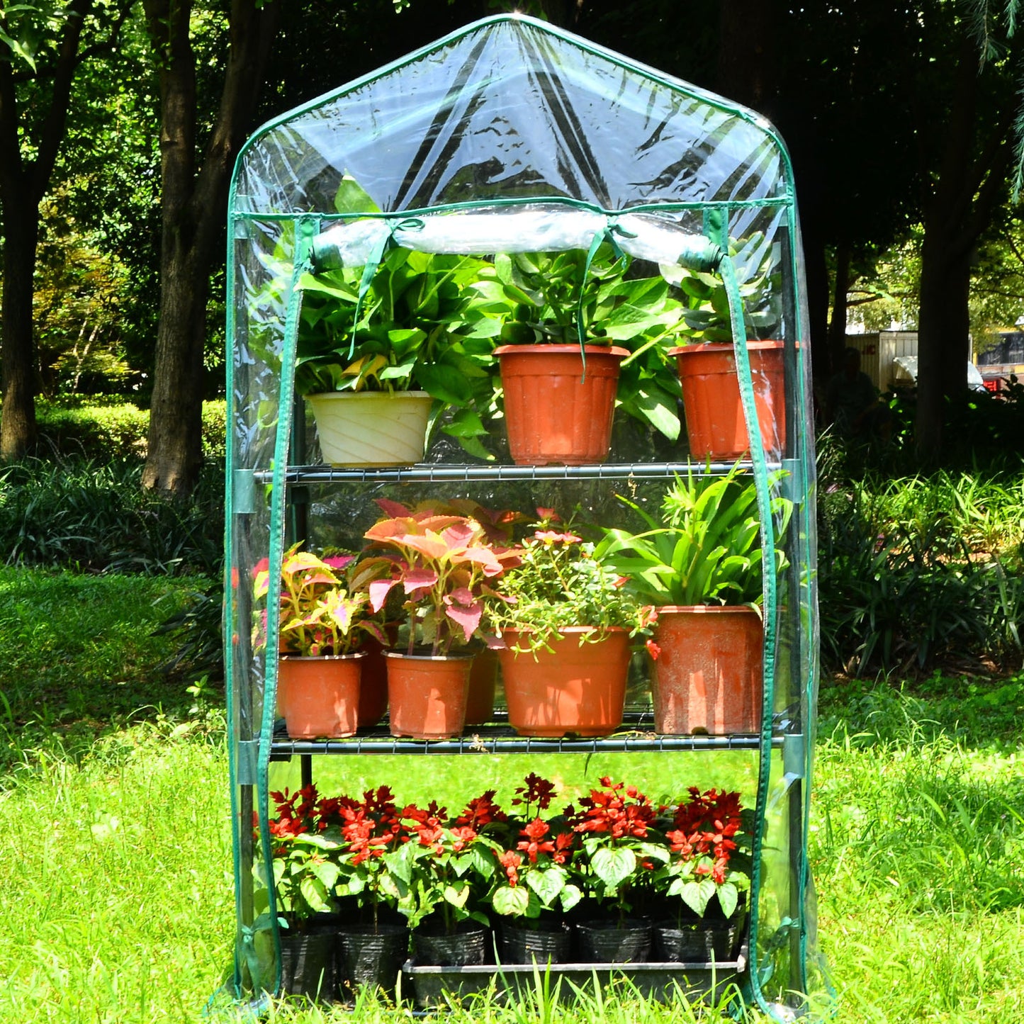 3 Tier Greenhouse, Small Plant Greenhouses, With Transparent Plastic PVC Cover, Indoor outdoor tent garden greenhouse (51 x 45 x 130 cm)