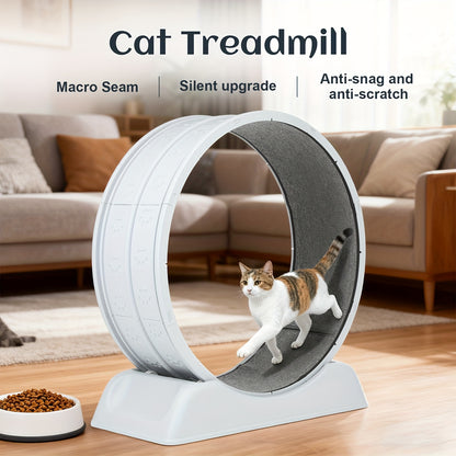 Cat Exercise Wheel, Plastic Wheel with Carpeted Runway, Easy to Install & Fitness & Health, Suitable for Most Cats, 79 Cm, for Indoor Cats
