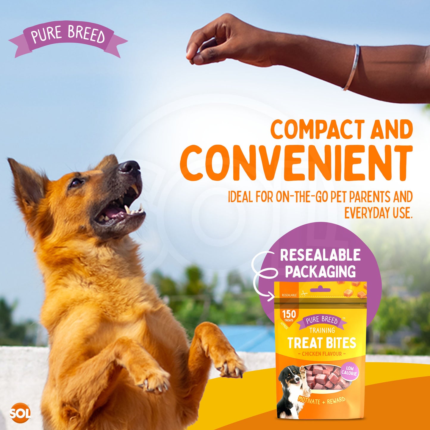 Pure Breed 6 Pack Dog Training Treat Bites 600 g Total | Chicken Flavour Low Calorie Dog Treats | Bite Size Reward Snacks for Training and Everyday Use | Resealable Packs for Freshness