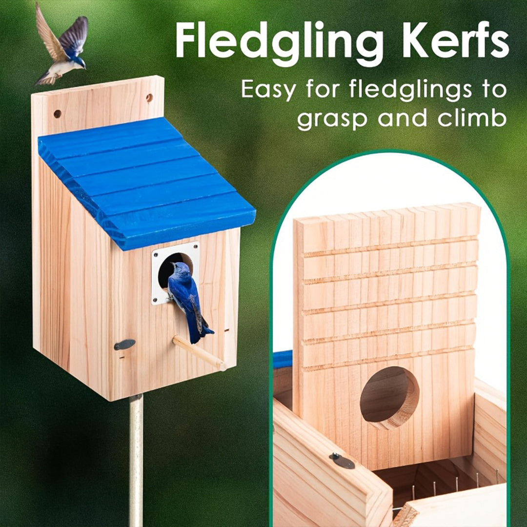 2pcs Cedar Bluebird Box Houses with Metal Guard, Secure Latch, Fledgling Grooves, Air Vents - Wooden Bird Houses for Outside, 1-1/2" Entrance Hole, Perfect for Bluebirds, Wrens, Swallows, Bird Feeder Houses | Classic Style | Wooden Construction, Bird Hous
