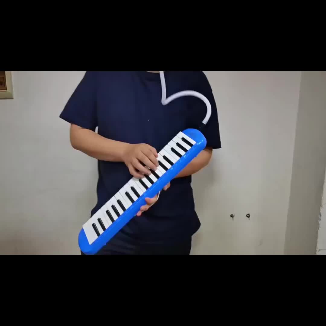 32-Key Soprano Melodica Air Piano Keyboard with Soft Long Tube & Short Mouthpiece, Durable ABS Material, Portable Beginner Instrument with Carrying Bag, Available in Black, Blue, Pink