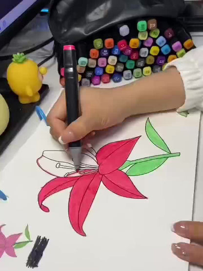 160/178 Colours Dual-Tip Marker Set with Sketchbook. Start Your Artistic Journey! Professional, Non-erasable Markers, Ideal for Art, Office, Study And Holiday Gifts