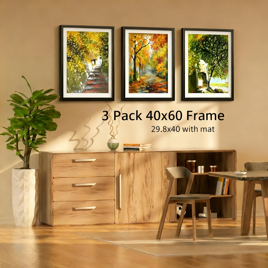 Black 40 x 60 cm Picture Frames - product view 1