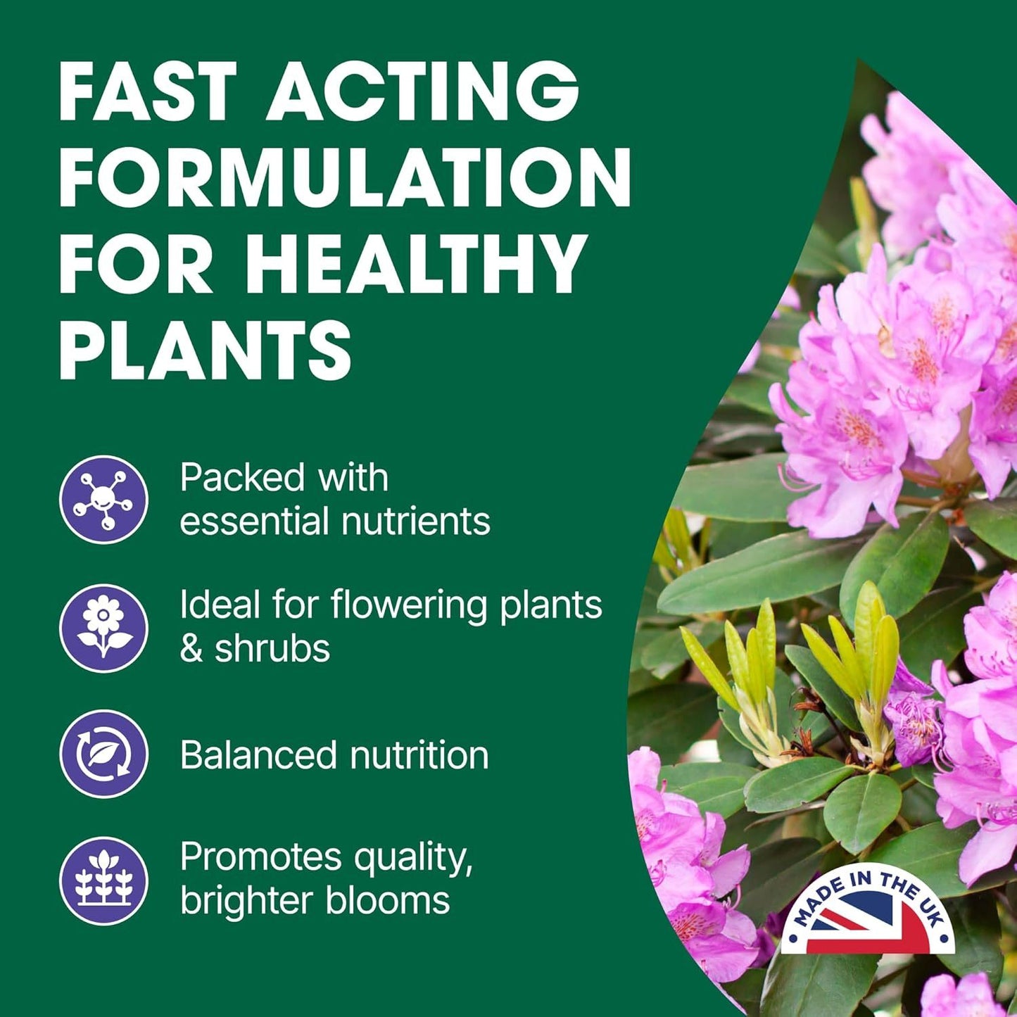 Doff Azalea Camellia & Rhododendron Feed Concentrate 1L