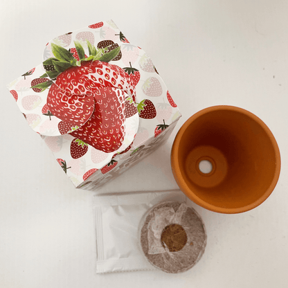 Grow Your Own Strawberry Mini Box Kits Teacher Thank You Kids Birthdays Parties Corporate Events Wedding Favours Christenings Strawberries Holidays Gift Box Funerals