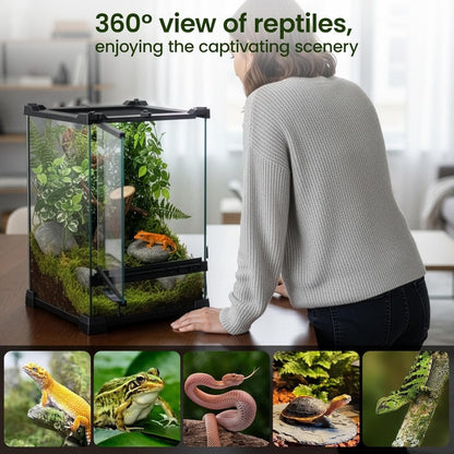 Glass Reptile Terrarium Vivarium Tank – Ventilated Habitat for Lizards, Frogs, Snakes & Spiders, Horizontal & Vertical, Leakproof Base