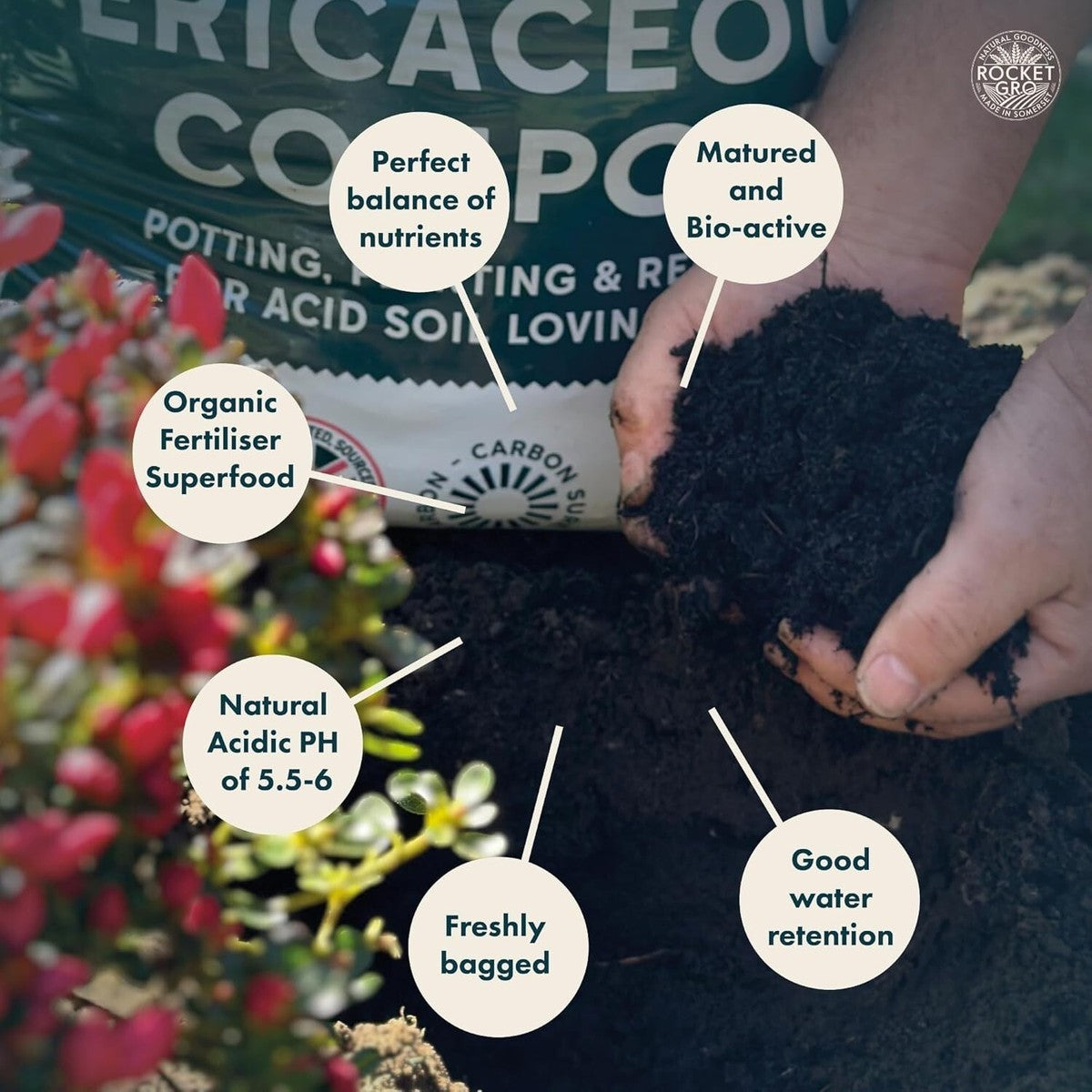 Growmoor Ericaceous Compost 50L Premium Soil Mix For Azalea Camellia Rhododendron And Heather Plants