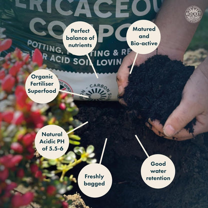 Growmoor Ericaceous Compost 50L Premium Soil Mix For Azalea Camellia Rhododendron And Heather Plants