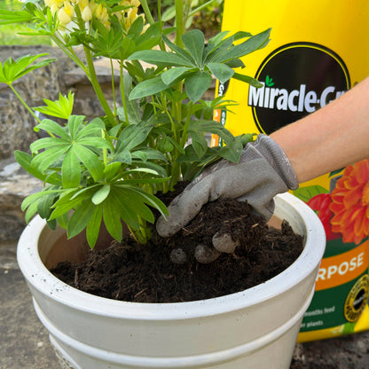 2x Miracle-Gro All Purpose Compost 40L Large Volume Multi-Use Plant Growing Medium for Flowers, Vegetables, Shrubs, Houseplants, Pots & Garden Beds