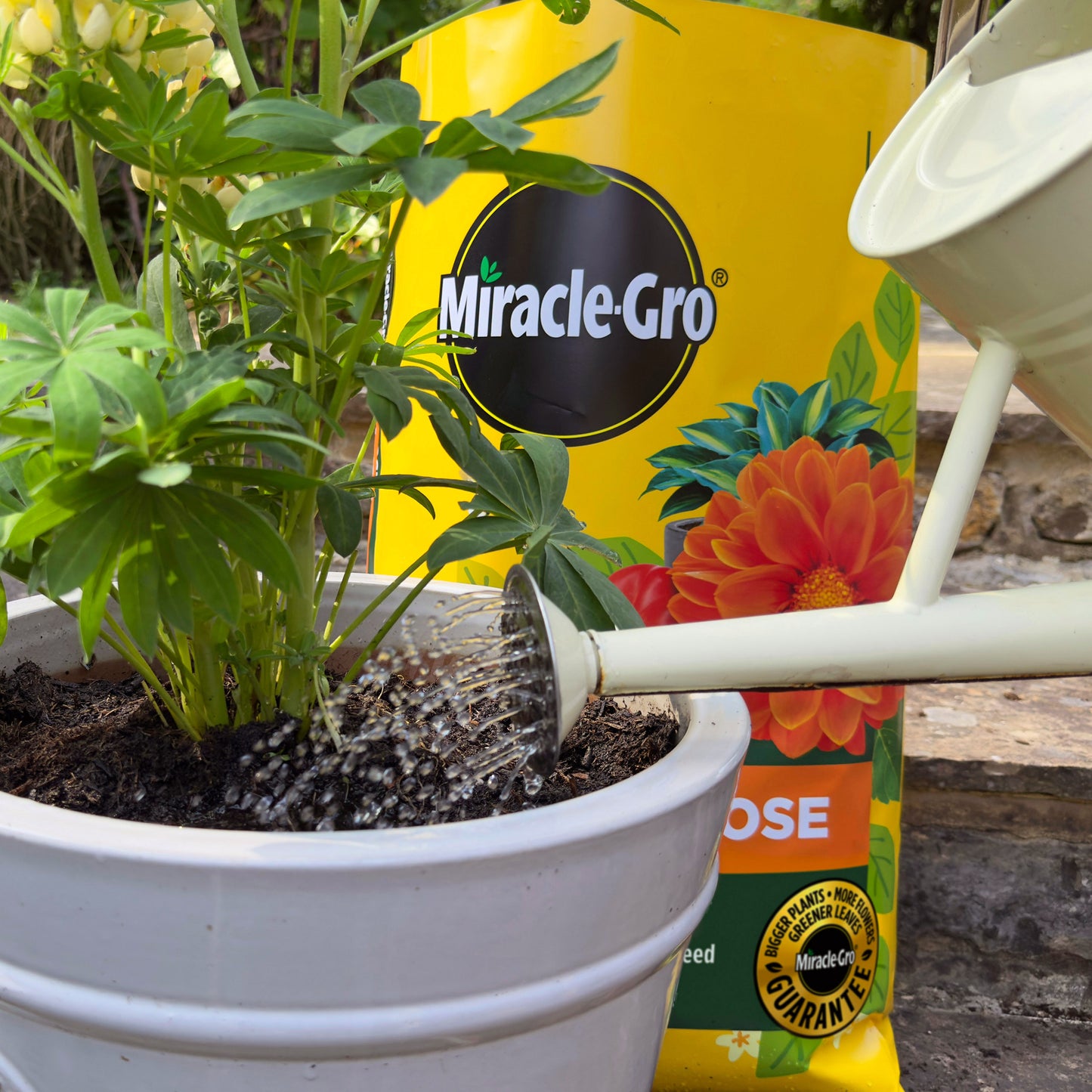 2x Miracle-Gro All Purpose Compost 40L Large Volume Multi-Use Plant Growing Medium for Flowers, Vegetables, Shrubs, Houseplants, Pots & Garden Beds