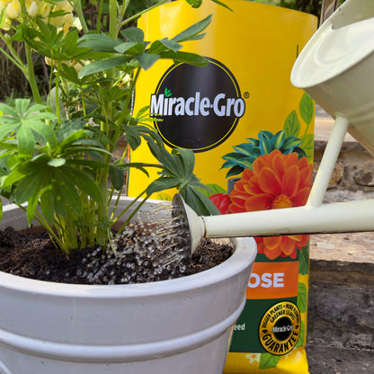 2x Miracle-Gro All Purpose Compost 40L Large Volume Multi-Use Plant Growing Medium for Flowers, Vegetables, Shrubs, Houseplants, Pots & Garden Beds